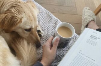 Tips on how to Hygge your Dwelling — Estée Lalonde